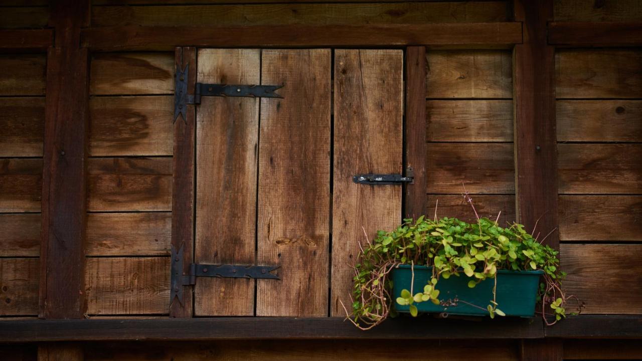 Epicos House, Your Home Away From Home. Nogueira  Bagian luar foto